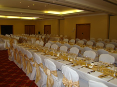 Grantham Wedding Chair Covers